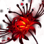 彼岸花*5